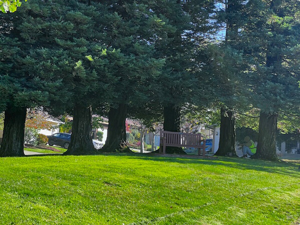 Building Photo - 2221 Pinehurst Way