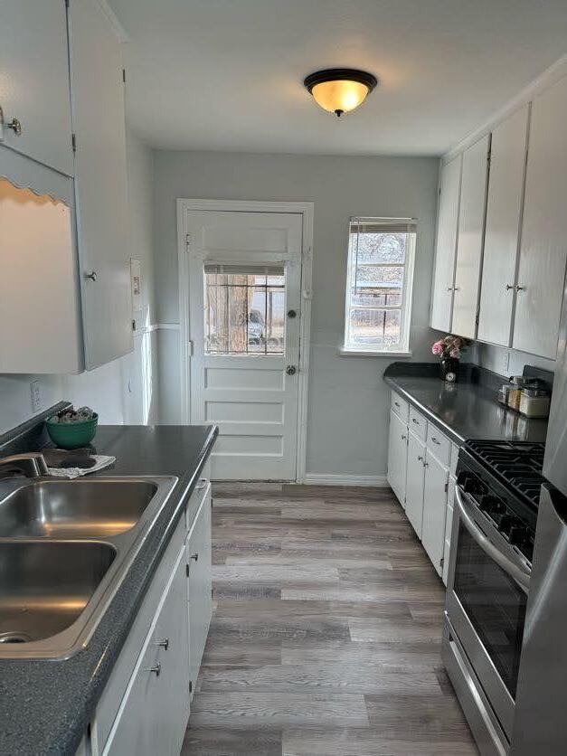 kitchen with back door to parking and common yard - 2115 S Polk St