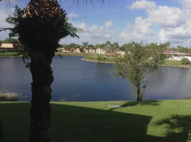 View from balcony - 355 Lake Frances Dr