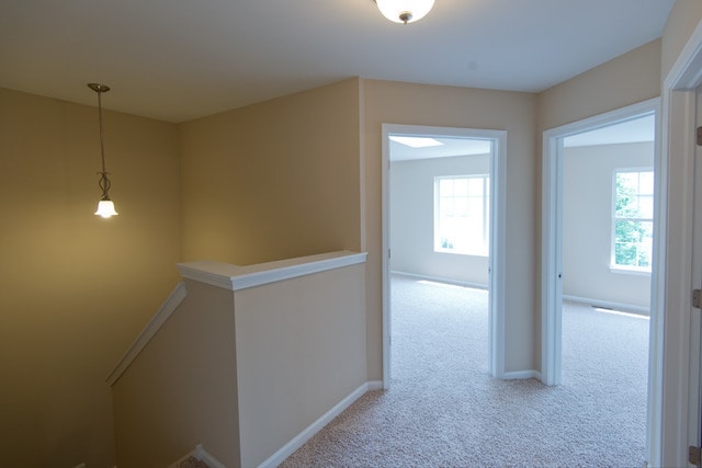 Building Photo - 2927 White Thorn Cir