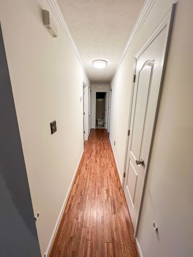 Building Photo - ? Beautiful 3 Bedroom, 2 Bath Home in Southside, AL! ?