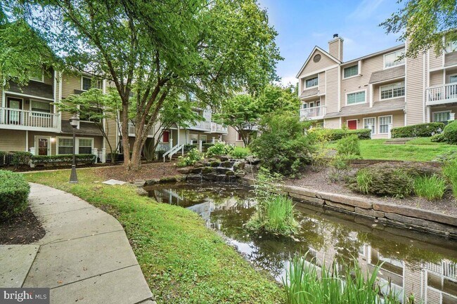 Building Photo - 10823 Hampton Mill Terrace