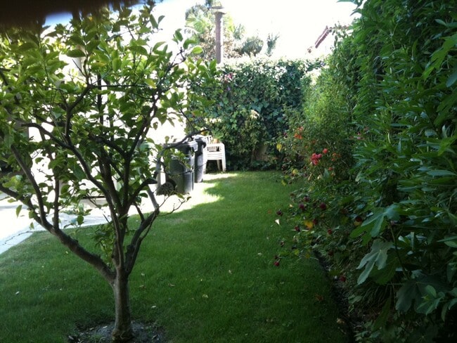 Backyard - 8372 Blackburn Ave