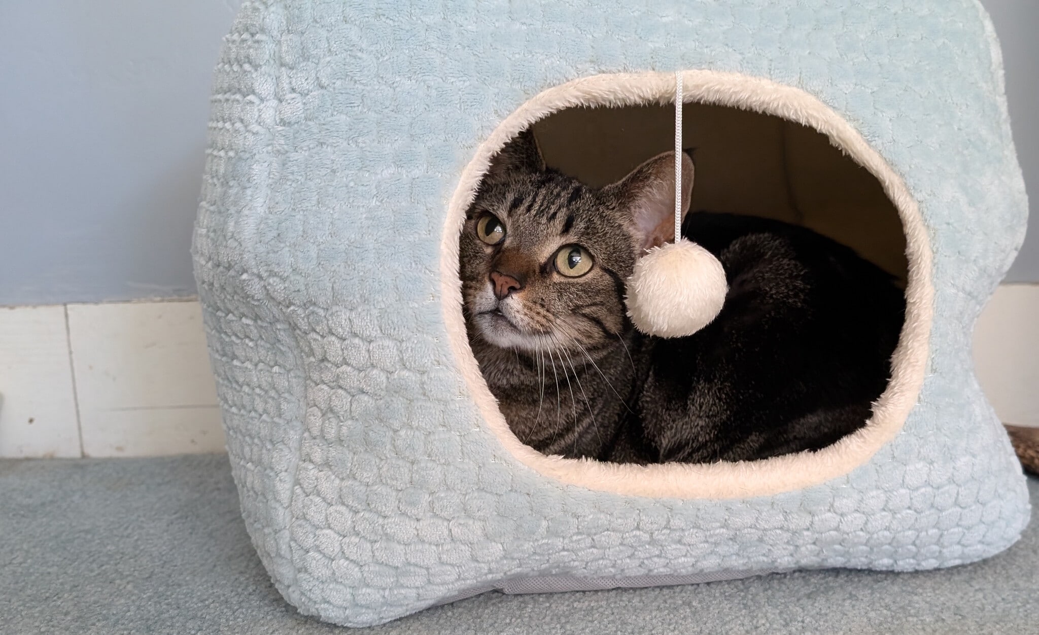 Building Photo - 128 Orchard St