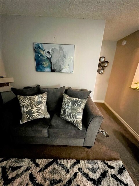 Living Room - 200 Mission Laguna Ln