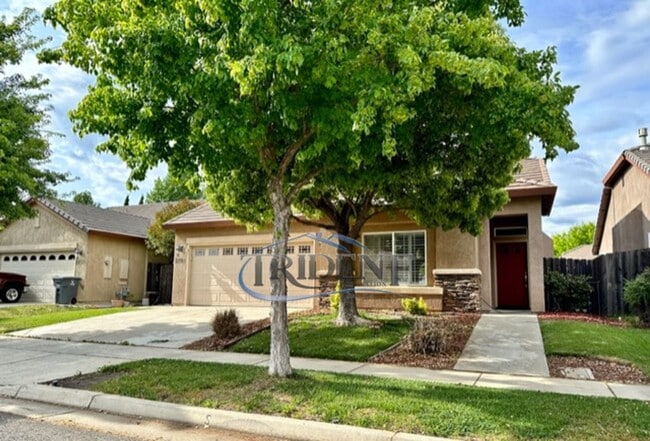 Building Photo - 2781 San Niccolo Dr