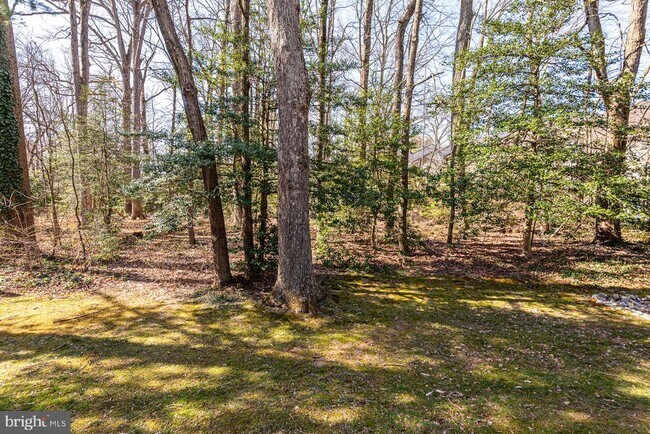 Building Photo - 11621 Newbridge Ct