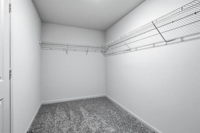 Building Photo - 13709 Roosevelt Arch Dr