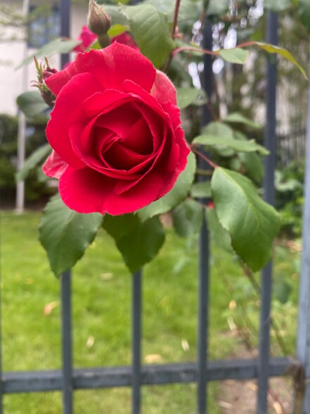 Building Photo - 2226 Channing Way