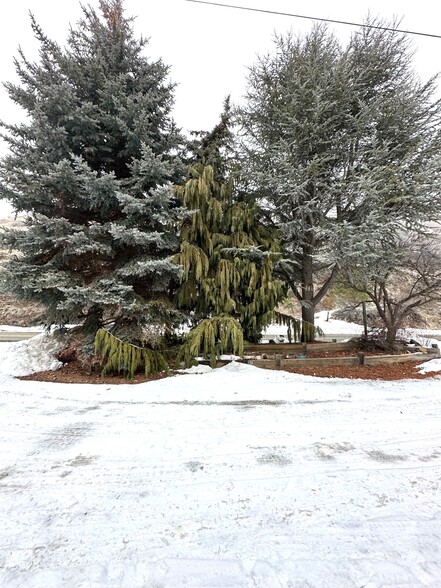 LOOKING OUT FROM FRONT DOOR - 10680 Manastash Rd