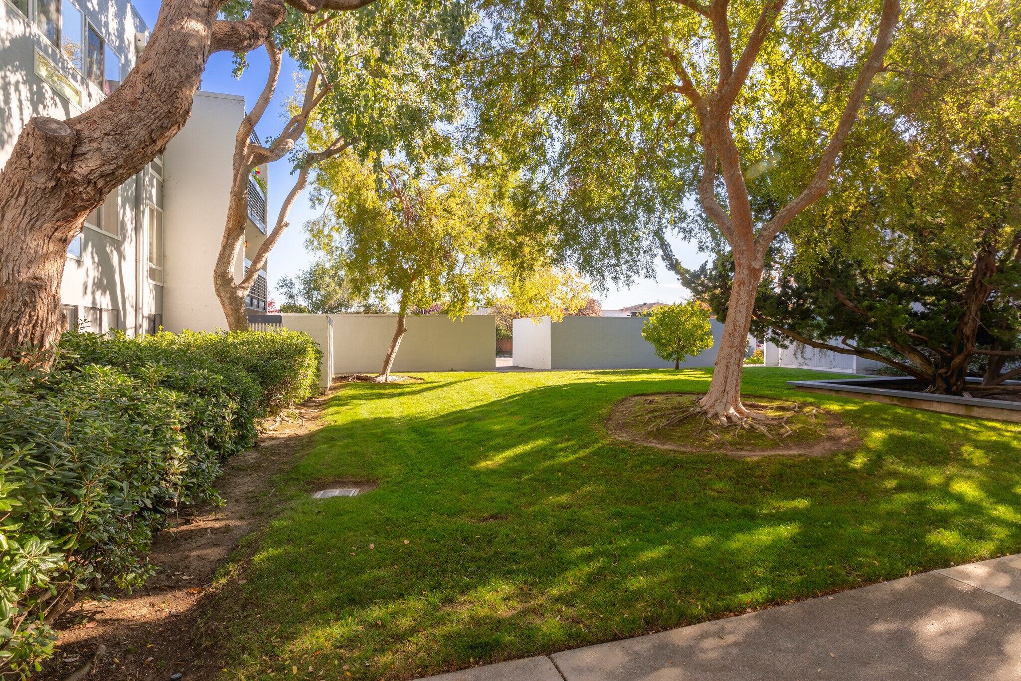 Building Photo - 1025 Shell Blvd