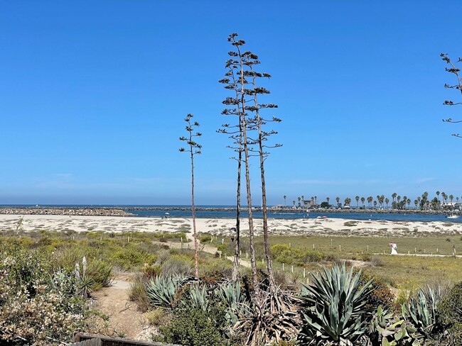 Building Photo - Furnished Beach front House in OB One Mont...