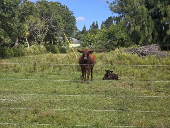 Building Photo - Beautiful Fort Pierce Home – Great Locatio...