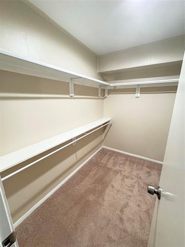 Building Photo - 2622 Custer Pkwy