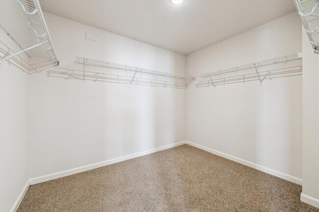 Building Photo - 431 Mantova Dr