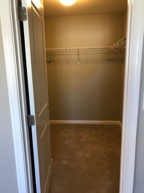 Building Photo - HAMPTON- BEAUTIFUL BRAND NEW MODEL HOME FOR RENT!!