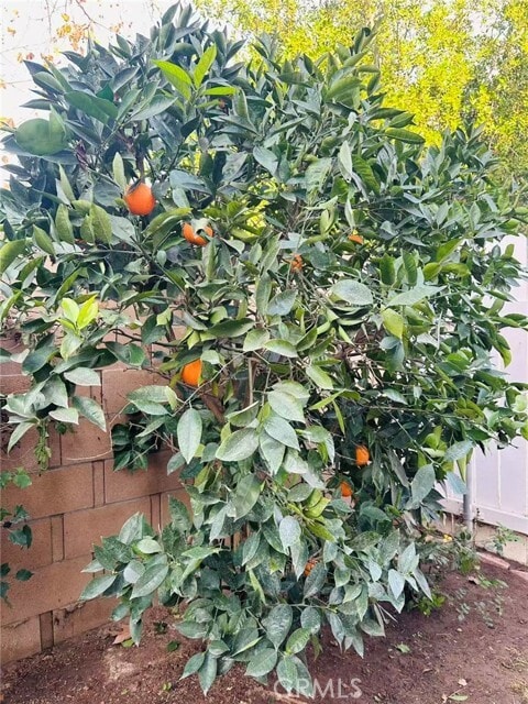 Building Photo - 602 Dunes Ct