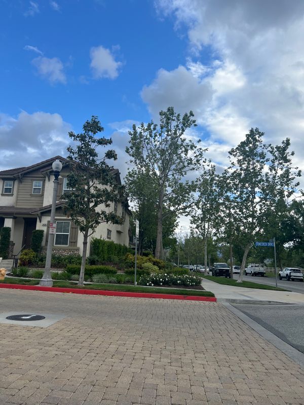 Building Photo - 24098 Stone Creek Dr
