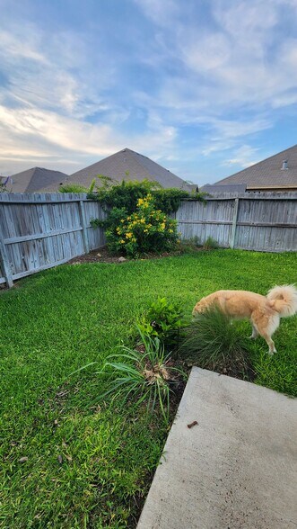 Backyard - 7218 Lands End Dr