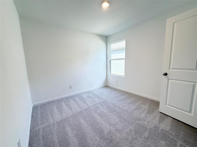 Building Photo - 3113 Burmese St