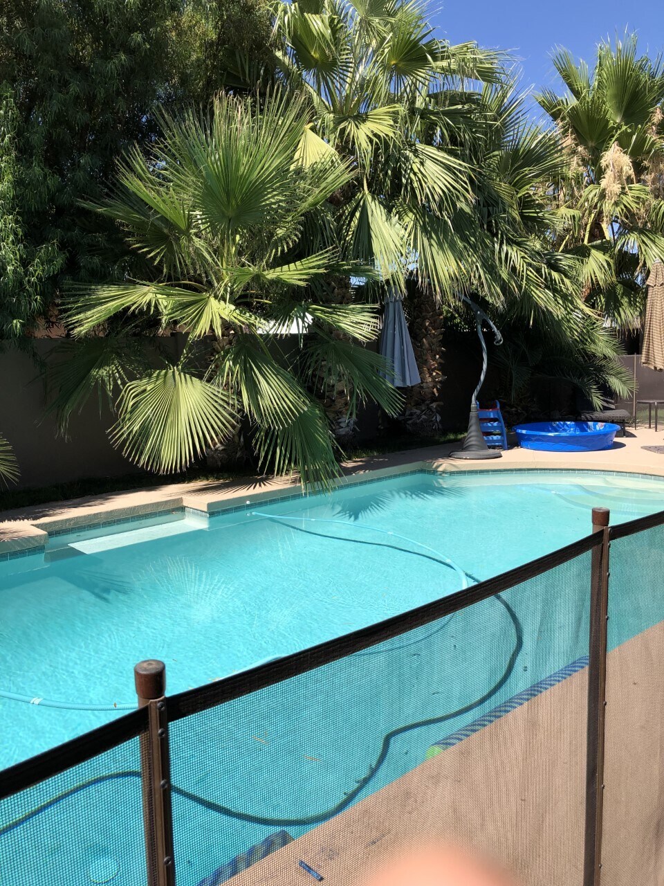 backyard pool - 7012 E Redfield Rd