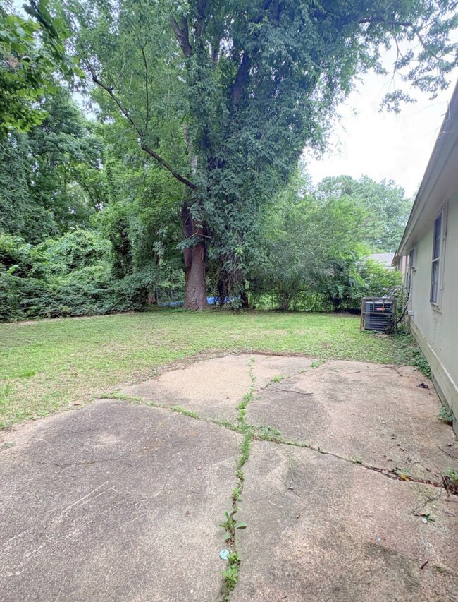Building Photo - 3666 Bluff Wood Dr