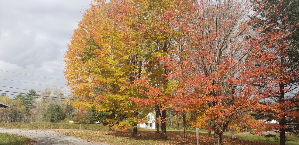 Building Photo - 162 Lancaster Rd