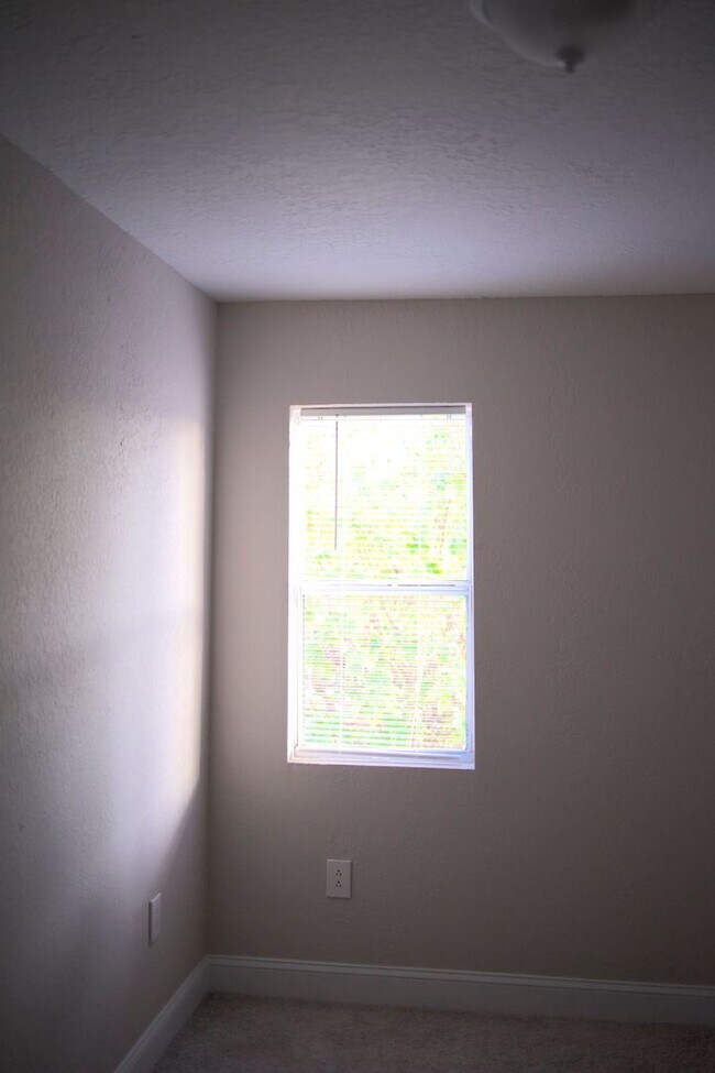 Building Photo - Spacious Clearwater Home with Modern Comforts with Private Backyard! 2bed | 1Bed