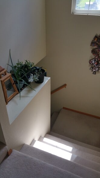Stairway - 2738 Irving Avenue