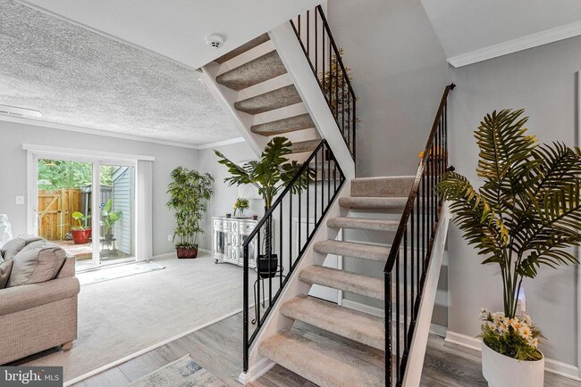 Building Photo - 7520 Clemson Ct