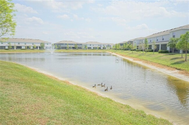 Building Photo - 6911 Breezy Palm Dr