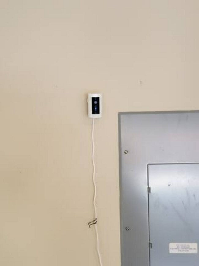 Building Photo - 1893 Appaloosa Run Trl