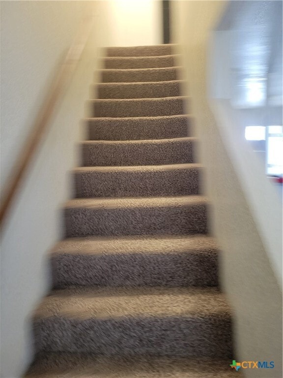 Building Photo - 1710 Old FM 440 Rd