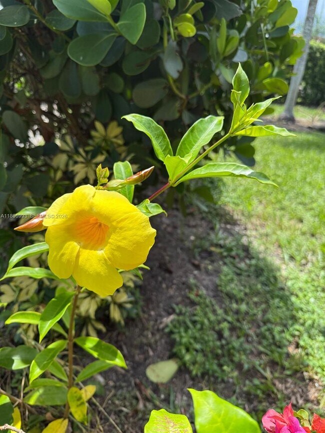 Building Photo - 1935 Arthur St