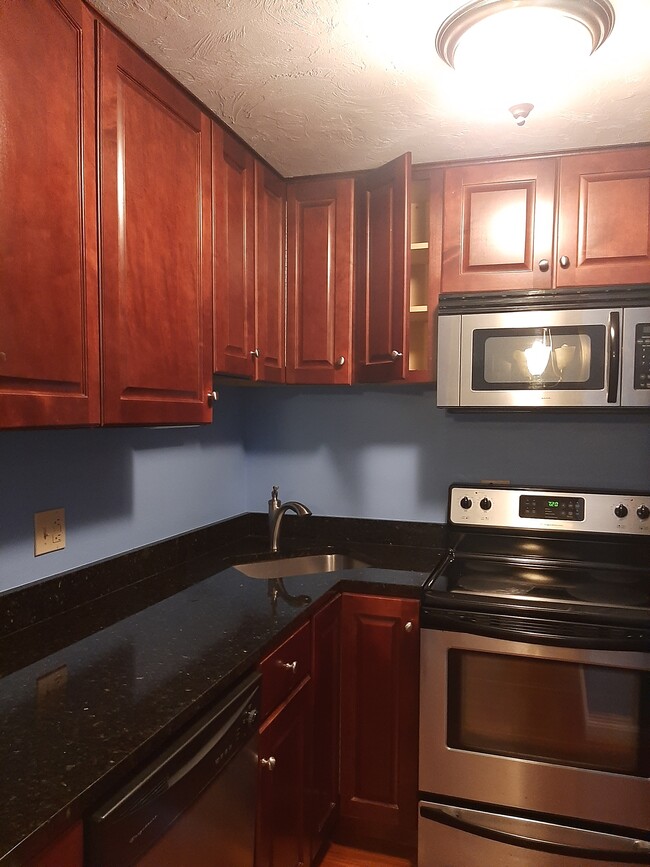 Kitchen - 230 Willard St