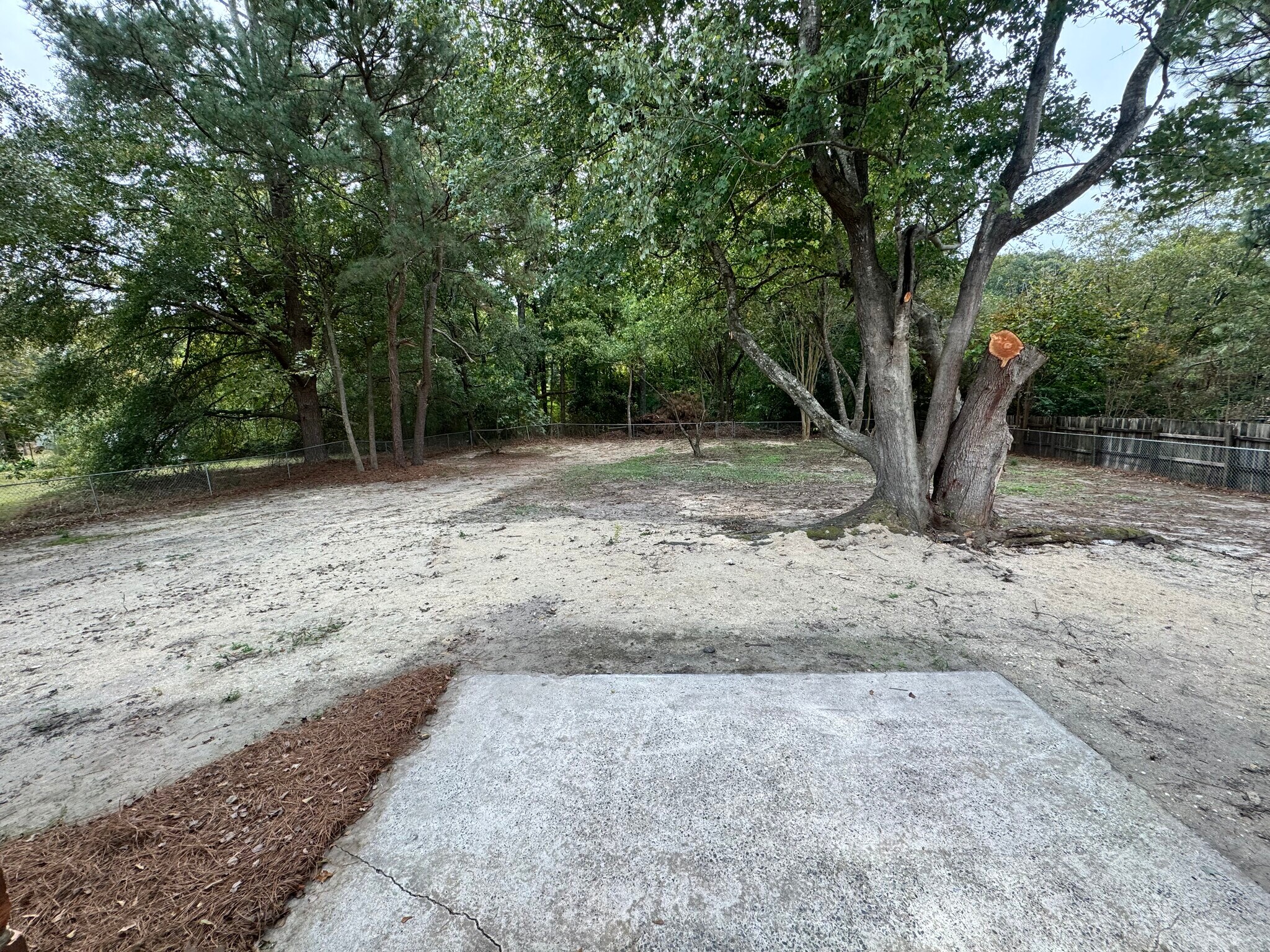 Building Photo - 821 Buck Swamp Rd