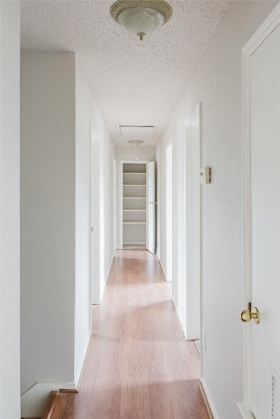 Building Photo - 2637 Austin Dr