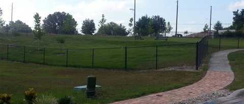Building Photo - 1715 Lake Buckeye Rd