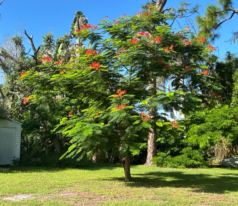 Building Photo - 1620 Manor Rd