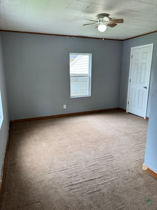 Building Photo - 107 Olive St
