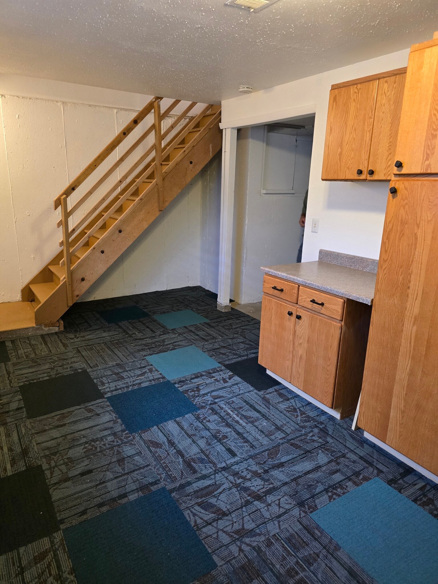 Basement office or exercise room - 12103 Viewpoint Dr