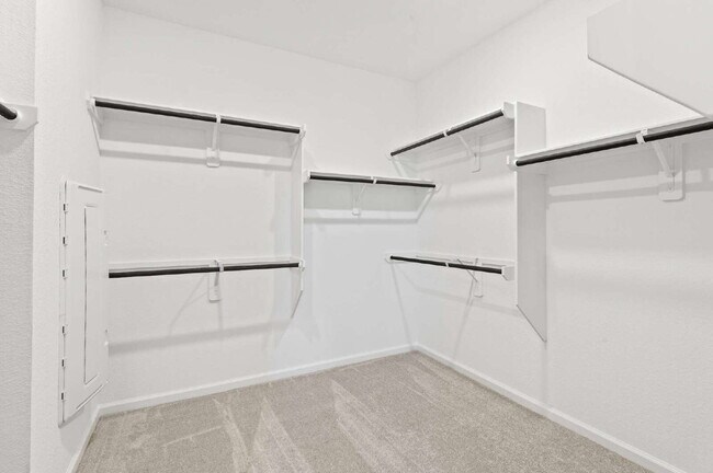 Building Photo - 18211 Saffron Sun St