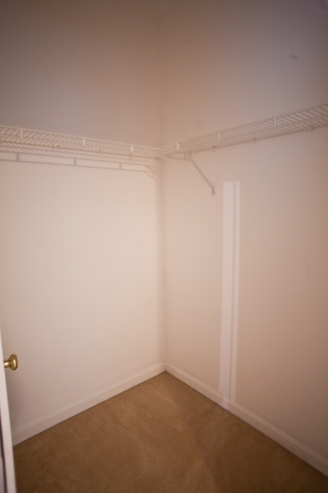 Building Photo - Spacious 3-Bedroom Ranch with Versatile Living Spaces and Modern Comforts