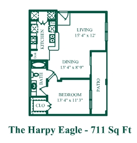 The Harpy Eagle - Eagles Landing