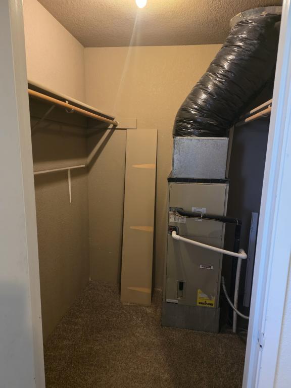 Building Photo - 300 Shafer Ln