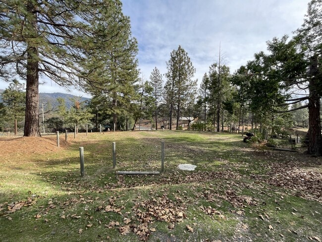 Building Photo - 5979 Meadow Ln