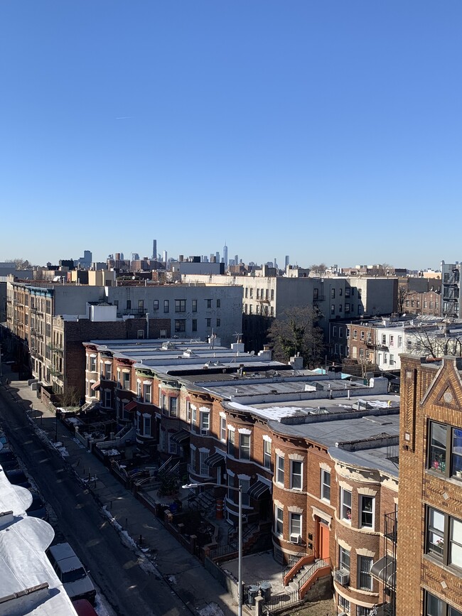 Rooftop facing Manhattan - 1526 Lincoln Pl