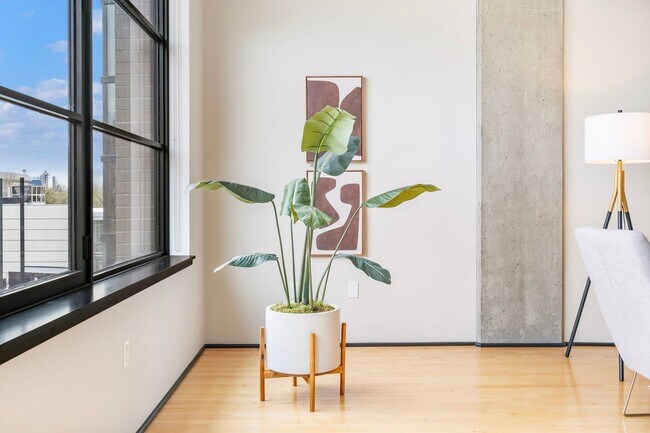 Building Photo - Elizabeth Lofts - 7th floor north facing p...