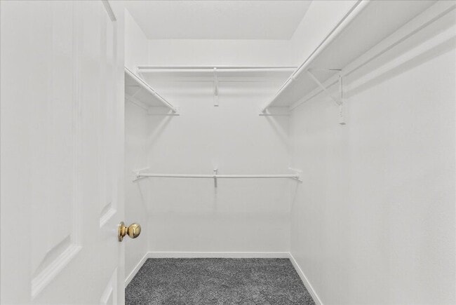 Building Photo - 2107 Roatan Calle