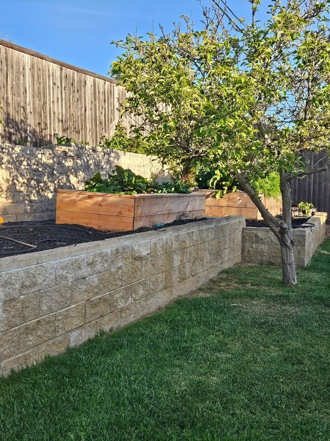 Building Photo - 1215 Royal Oak Rd